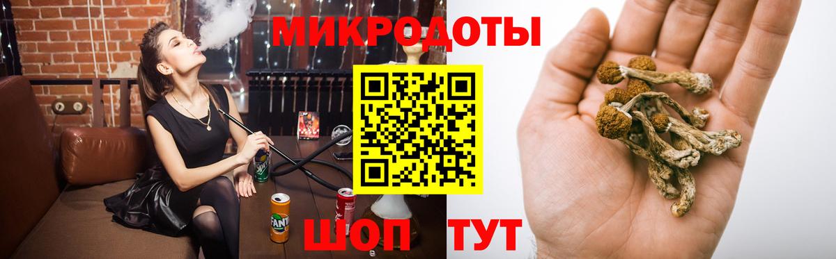 Грозный  Галлюциногенные грибы Psilocybine cubensis  Галлюциногенные грибы Psilocybine cubensis  Вход с VPN 